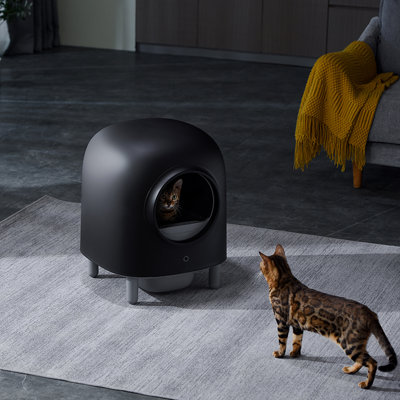 Tucker Murphy Pet™ Automatic Smart Cat Litter Box-black & Reviews | Wayfair